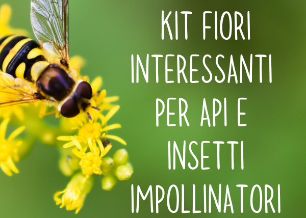 Kit fiori interessanti per api e insetti impollinatori