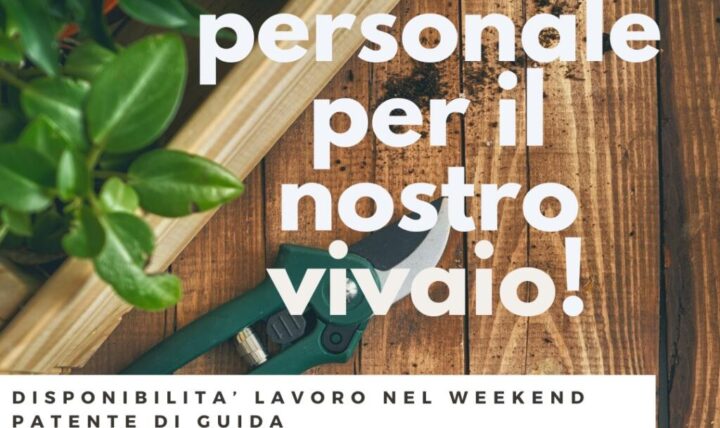 Ricerchiamo personale per il nostro vivaio!