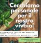 Ricerchiamo personale per il nostro vivaio!