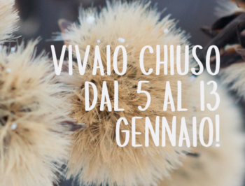 Chiuso dal 5 al 13 gennaio!