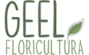 Production et vente en ligne de plantes aromatiques biologiques - Geel Floriculture